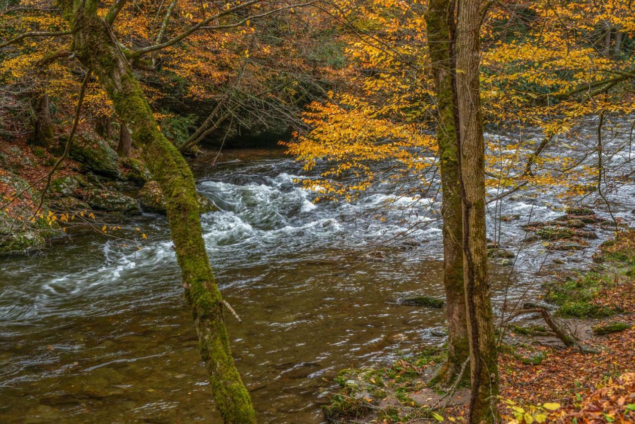 Fox Hollow Little Cove Kültér fotó